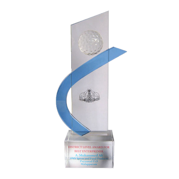 District Level award for best entrepreneur